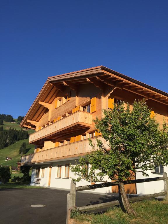 Chalet Butterfly Adelboden Værelse billede
