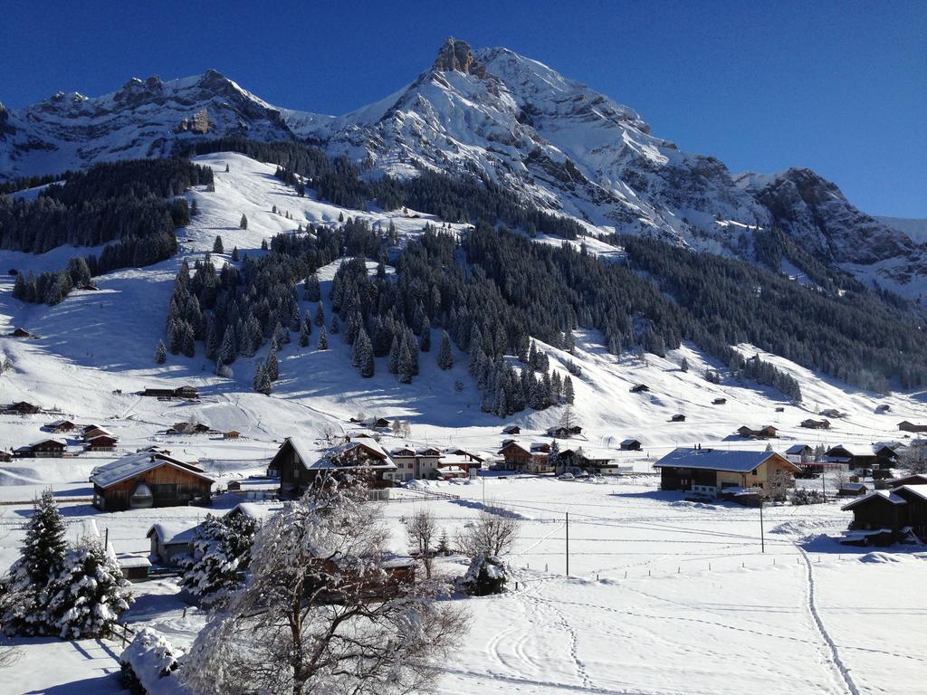 Chalet Butterfly Adelboden Værelse billede