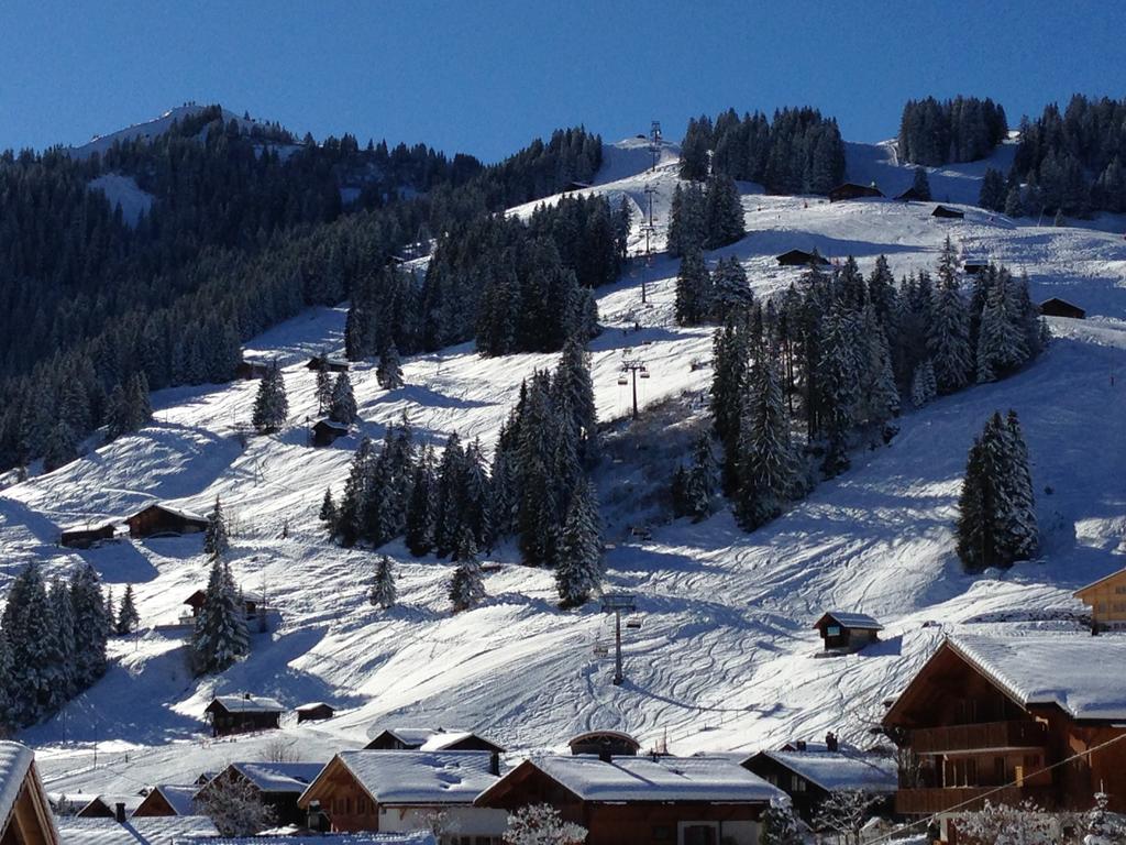 Chalet Butterfly Adelboden Værelse billede